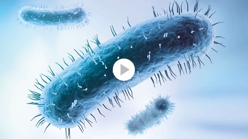 Webinar: dPCR-based pathogen detection