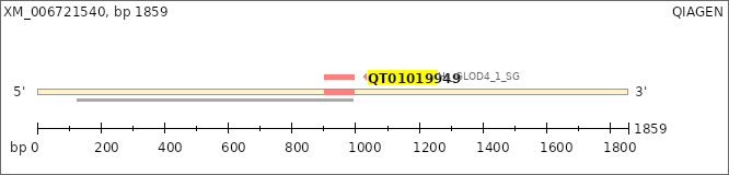 XM_006721540