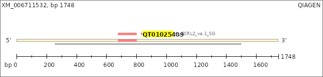 XM_006711532