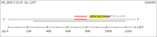 XM_006711535
